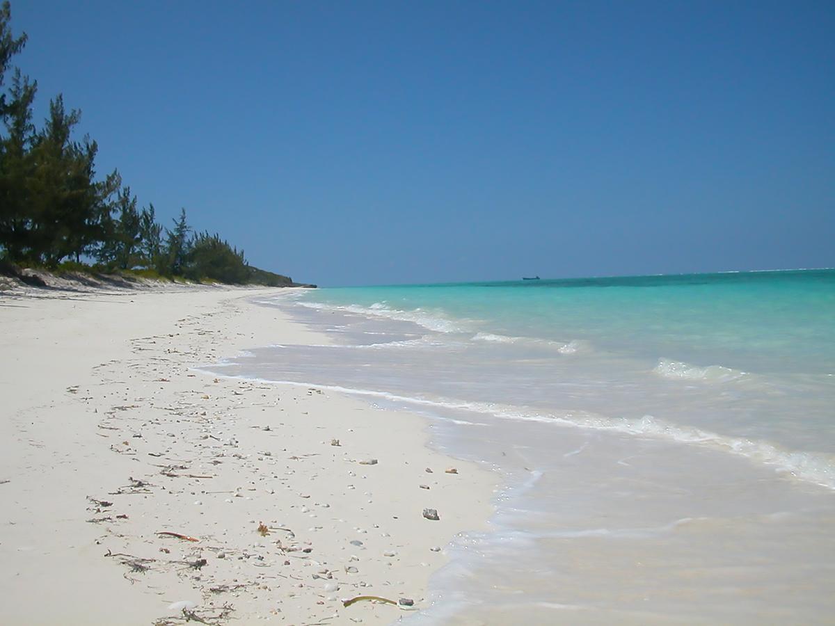Hollywood Beach Suites Turks And Caicos Whitby Udogodnienia zdjęcie